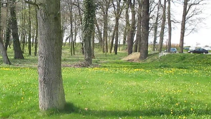 Play video