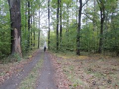 IMG_4601