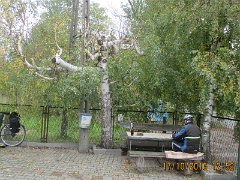 IMG_4609