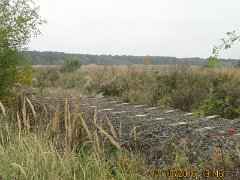 IMG_4613
