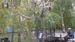 MVI_4608