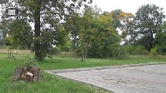 MVI_4611