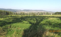 IMG_5589