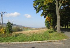 IMG_5594