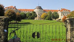 IMG_5611