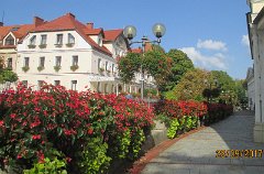 IMG_5618