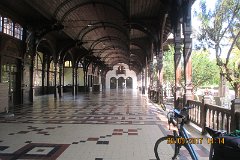 IMG_5623