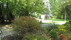 MVI_5617